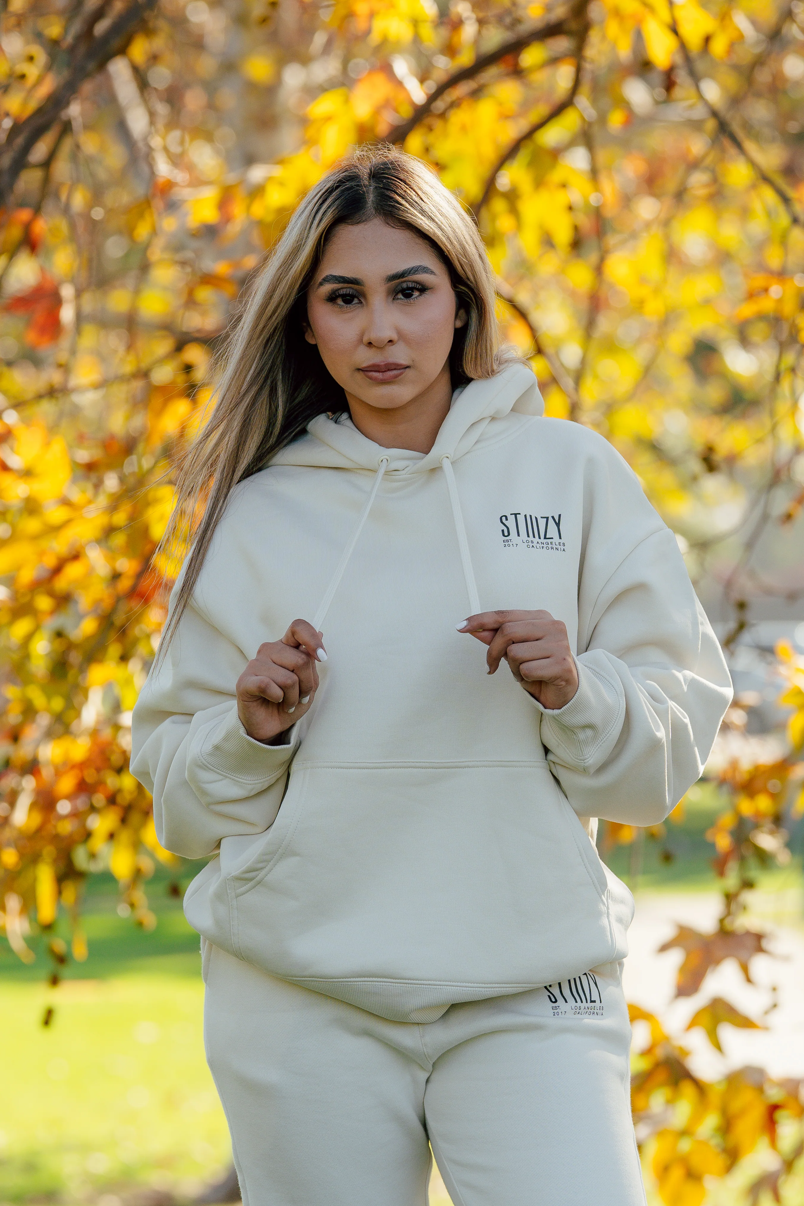 STIIIZY Always in Rotation Hoodie - Cream - Image 6